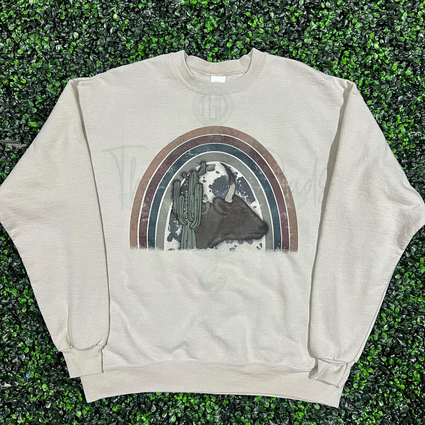 Rainbow Cattle Top Design