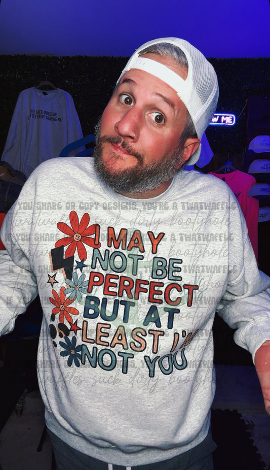 I May Not Be Perfect But At Least I’m Not You Top Design